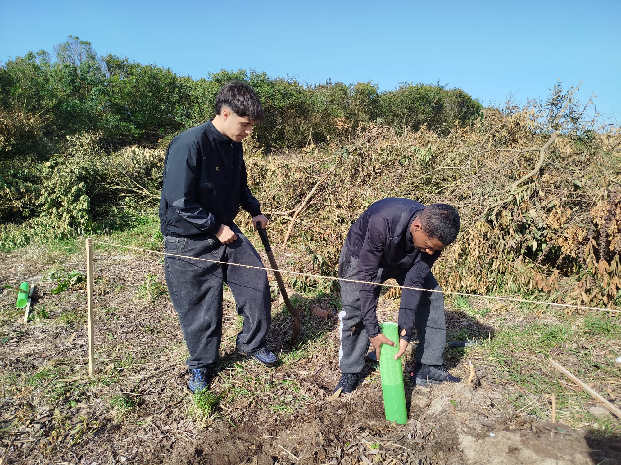 Curso de Informática contribui para reflorestação em Ofir