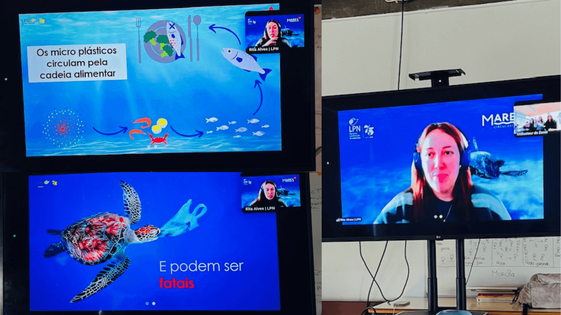 Mares Circulares.png